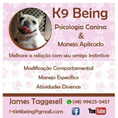 K9 Being Psicologia Canina Aplicada