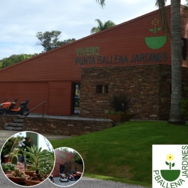 Punta Ballena Jardines