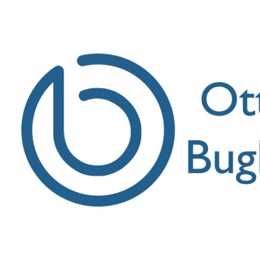 Ottica buglione