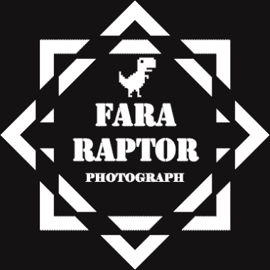 Raptorsmedia