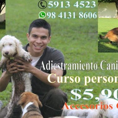 Mau zac man adiestramiento canino