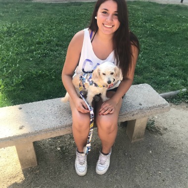 Paseo de Perros