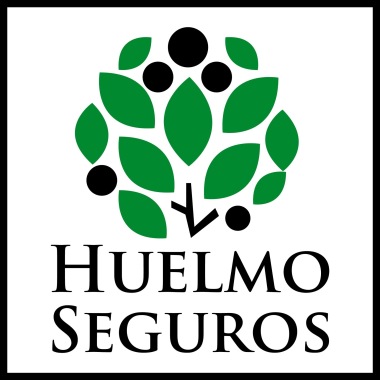 HUELMO SEGUROS