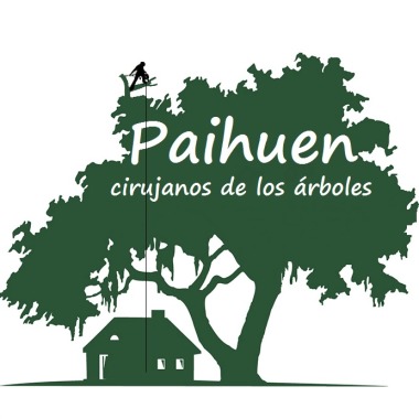 Paihuen