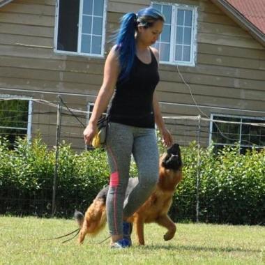 Ece Özkan Köpek Eğitim Okulları