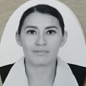 Servicios Integrales de Consultoria