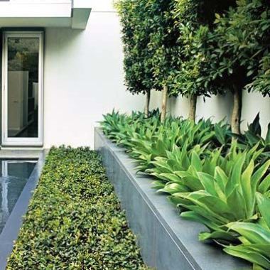 Atelier Nelumbo Design