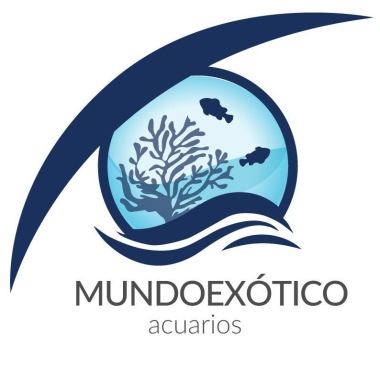 Mundo Exótico