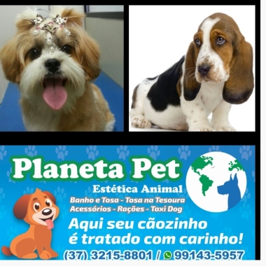 Planeta Pet