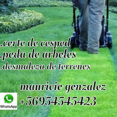 Tujardinmijardin