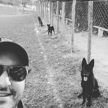 Adestramento de cães