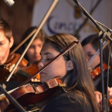 Violinista