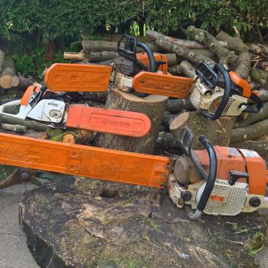 Busby Saws Tree Services