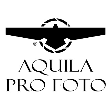Aquila Pro Foto