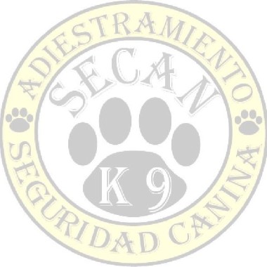 Educación y adiestramiento canino secan