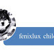 Fenixlux chile ltda