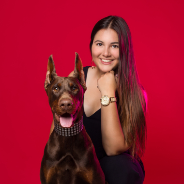 Le Terrier Studio