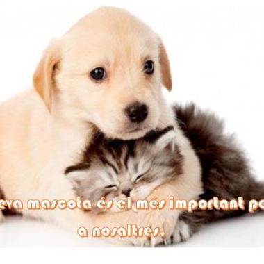 PUPPY'S