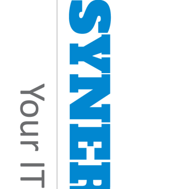 Synergy IT Professional