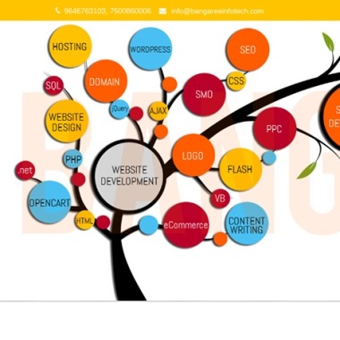 Bangaree Infotech Solutions - Website Designing In Brampton