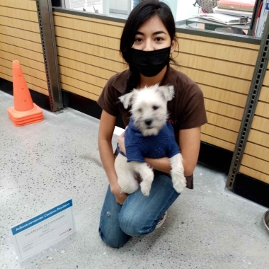Bican-Servicios de bienestar Canino