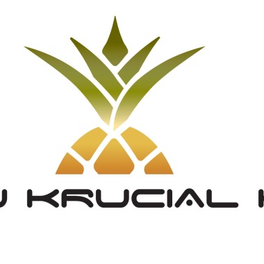 DJ Krucial K
