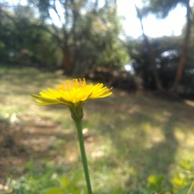 Chandru