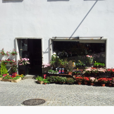 Florista Pétala da Torre