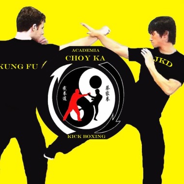 Academia Choy Gar