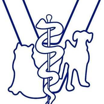 Hospital Veterinario de Especialidades Ceylán