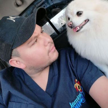 Veterinaria Animal Home