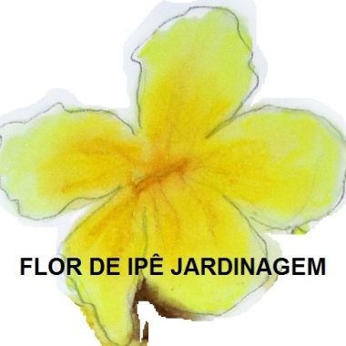 Flor de Ipê Jardinagem