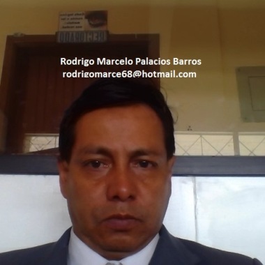 R. Marcelo Palacios B.