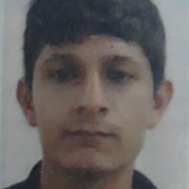 Guardia de Vigilancia y Seguridad