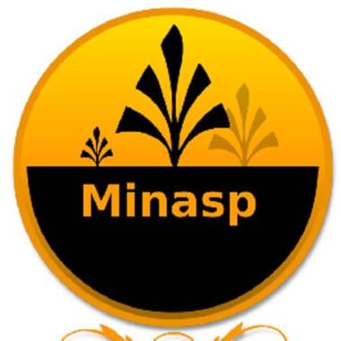 Minasp Representacoes