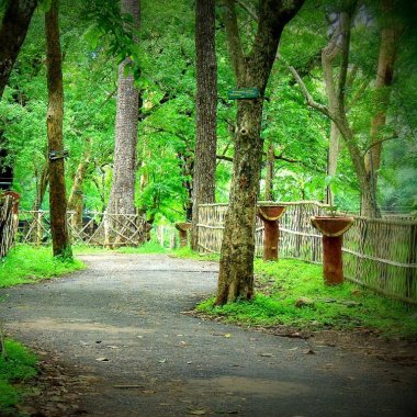 Raga Tours & Travels