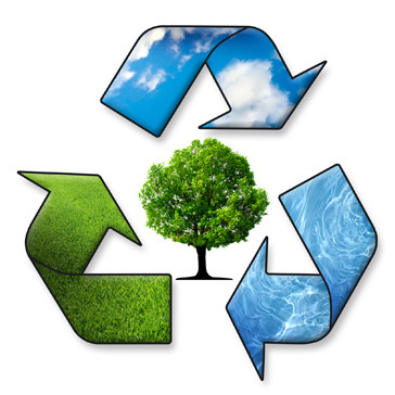 Assessoria Ambiental