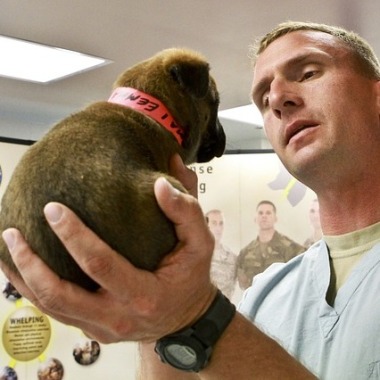 Veterinaria Sa. Me. V