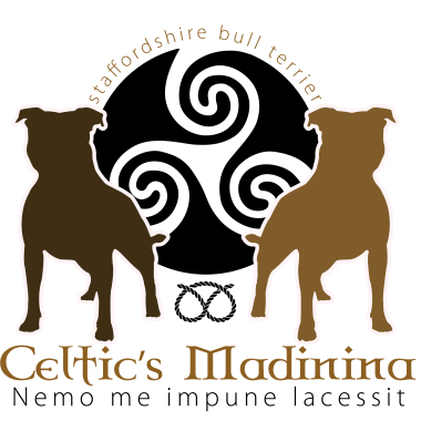De Celtic's Madinina