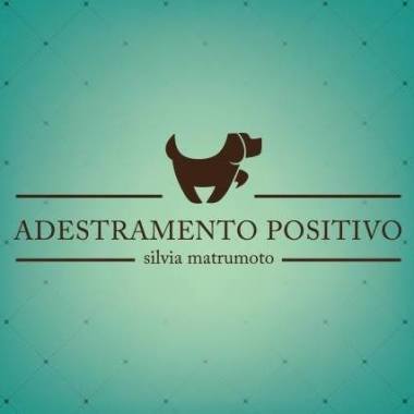 Adestramento Positivo