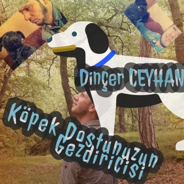 Köpek Gezdiricisi ce Bakımcısı