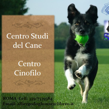 Addestratore Cinofilo