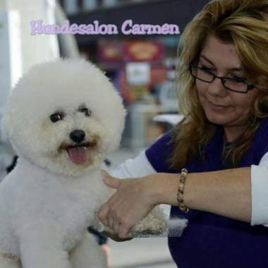 Hundesalon Carmen