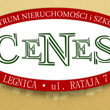 Centrum Nieruchomości i Szkoleń CeNeS