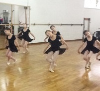 Palestra Due Pini