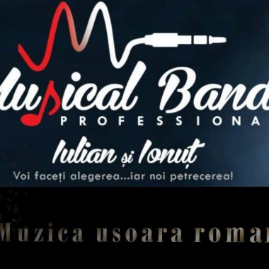 MusicalBand Slatina