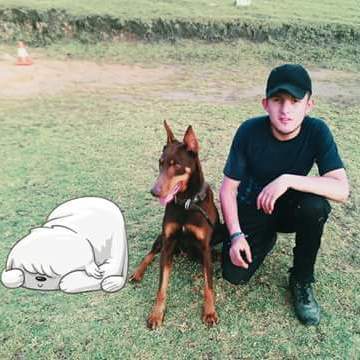 Adriestramiento y cuidado canino
