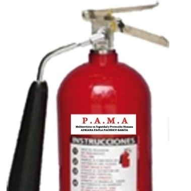 Pama Multiservicios En Seguridad Y Proteccion Humana
