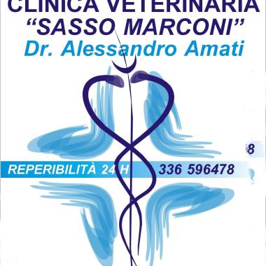 CLINICA VETERINARIA "SASSO MARCONI"  Dott.A.Amati 
