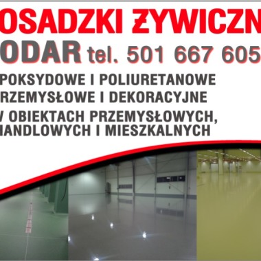 Kodar Dariusz Kownacki